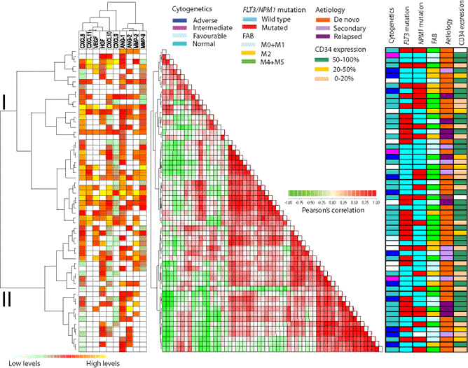 Constitutive release of angioregulatory soluble mediators by primary human AML cells: unsupervised hierarchical cluster analysis (left), distance matrix analysis (middle) and comparison with clinical data (right).