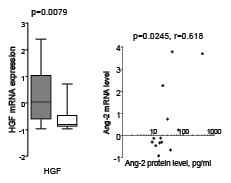 Associations between mRNA levels and supernatant protein levels for HGF and Ang-2.