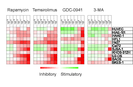 Antiproliferative effects of mTOR and PI3K inhibitors on stromal cells.