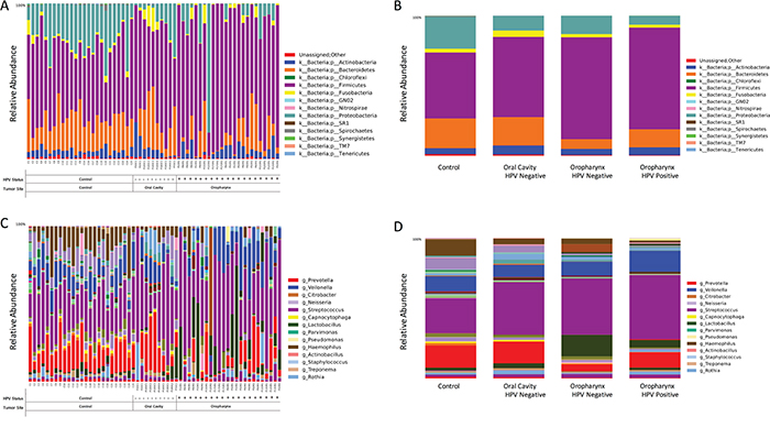 Taxonomic profiles at the phyla and genus levels, of 59 saliva samples according to tumor histology, HPV status and sampling site.