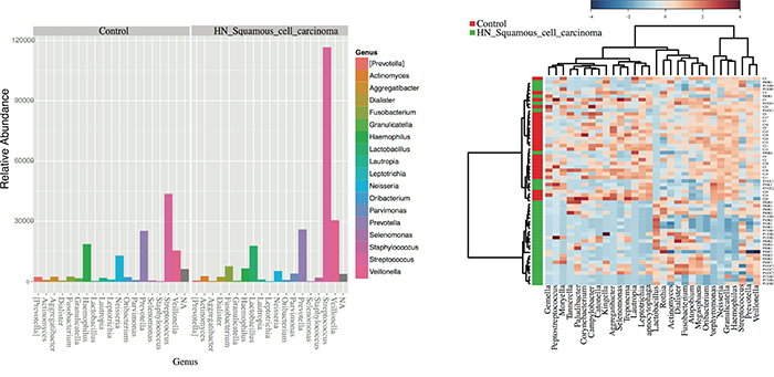 Differentially enriched microbiota OTUs in HNSCC when compared to control samples.