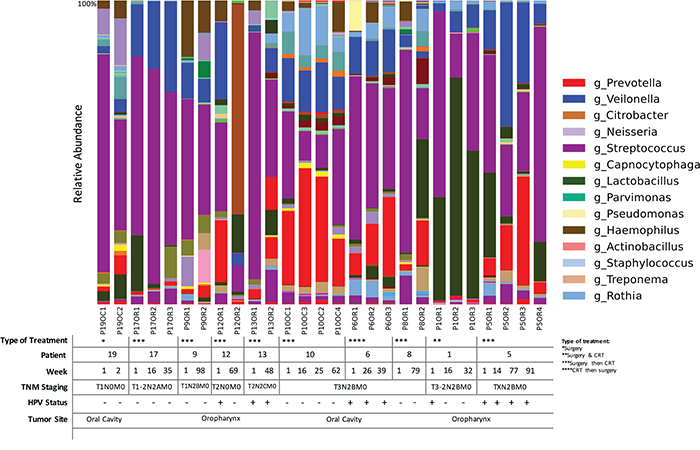 Time-series analyses of HNSCC patients (n=11) for whom we had repeated saliva samples, according to both sampling sites, HPV status and TNM staging.