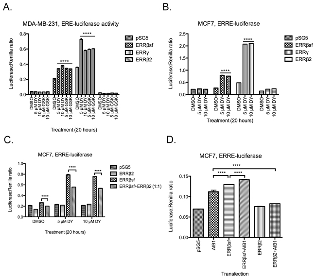 ERR&#x03B2;2 has no transcription factor activity in breast cancer cells.