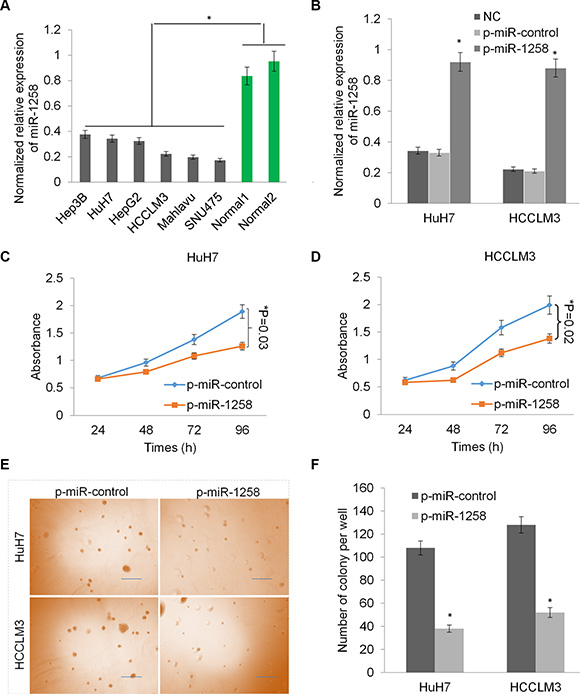 Overexpression of miR-1258 inhibits liver cancer cell growth and proliferation.