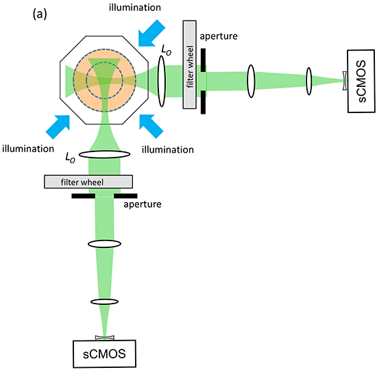 Schematic of dual projection channel multispectral OPT system.