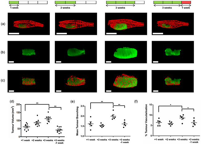 Figure 3: