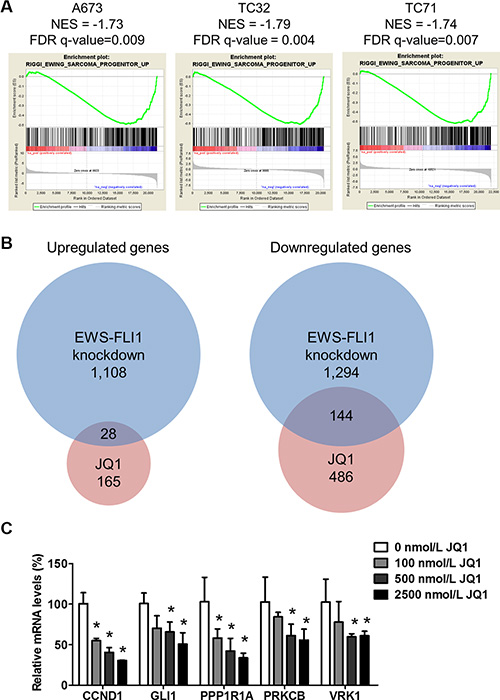 JQ1 suppresses EWS-FLI1-dependent transcription.