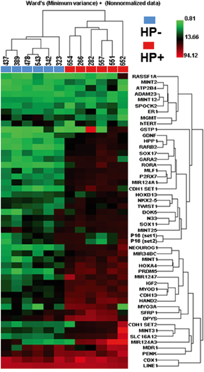 Unsupervised hierarchical clustering analysis of 49 PCGIs and LINE1 repetitive element among six H. pylori negative (blue boxes) and six positive cases (red boxes).