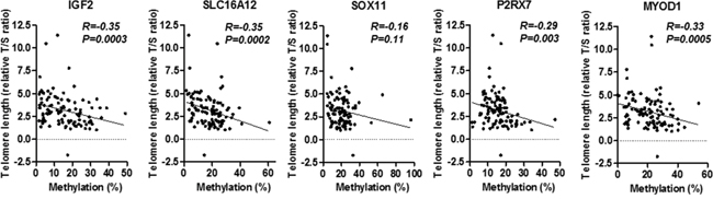 Association between telomere shortening and methylation status of five PCGIs (IGF2, SLC16A12, SOX11, P2RX7 and MYOD1) Statistical analysis was performed using the Spearman correlation analysis.