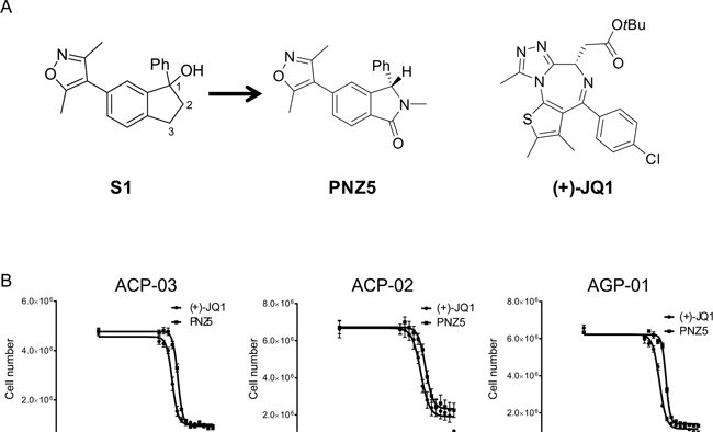 A. BET inhibitors used in the study (+)-JQ1 and (PNZ5) as well as lead compound S1.