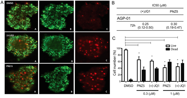 In vitro cytotoxic activity of (+)JQ-1 and PNZ5 on AGP-01 spheroids.