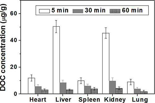 DOC concentrations in main organ of mice at different time after treatment with FA-CD-PLLD/DOC/MMP-9 (n = 5).