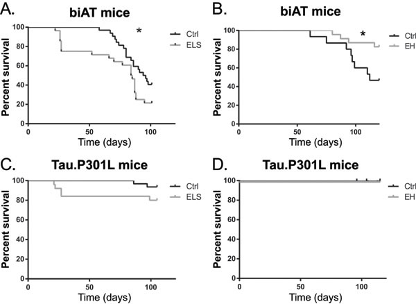 ELS exacerbates early death while EH prolongs survival of young biAT mice.