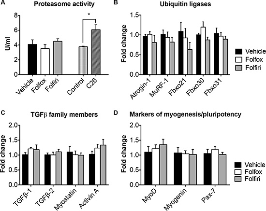 Folfiri-mediated muscle wasting is not associated with ubiquitin-dependent proteolysis or with increased expression of TGF&#x03B2;-associated ligands or markers of myogenesis.