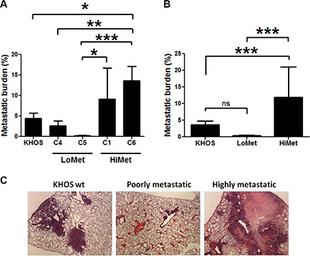 OS tumor heterogeneity.