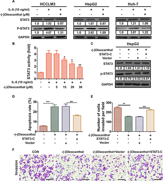 (-)-Oleocanthal inhibits IL6-inducible activation of STAT3 and its anti-cancer effects are dependent on STAT3 expression.