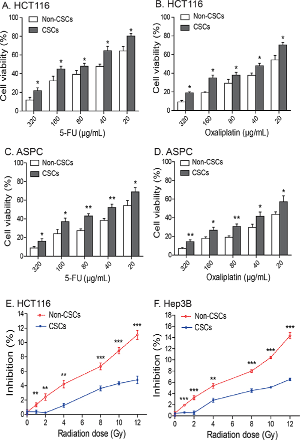 Chemotherapy and radiotherapy-resistance in CSCs.