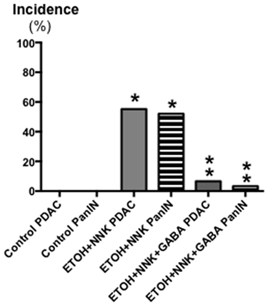 Effects of GABA supplementation on the incidence (%) of PDACs and PanINs in controls, hamsters treated prenatally with ETOH and NNK and in hamsters treated prenatally with ETOH and NNK followed by GABA supplementation in the drinking water at 4 weeks of age.