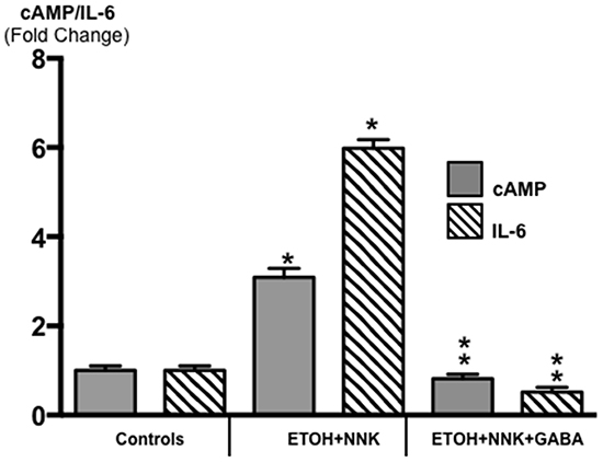 Modulation of intracellular cAMP and the pro-inflammatory cytokine IL-6 in exocrine pancreatic cells and tumor cells as assessed by ELISA assays.
