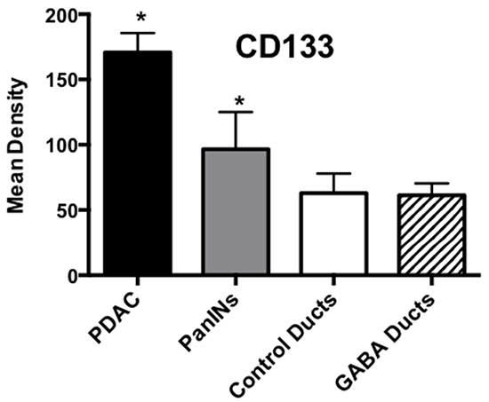 Results of densitometry for the quantitative assessment of CD133 immunoreactivity.