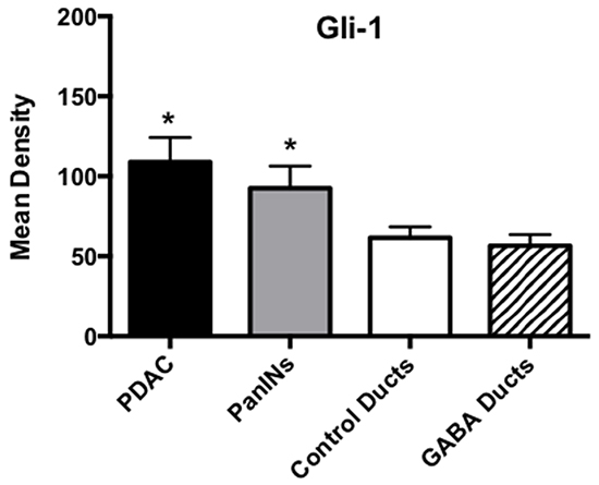 Results of densitometry for the quantitative determination of Gli-1 immunoreactivity.