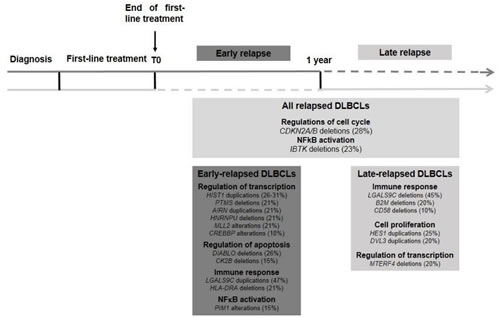 Key oncogenic pathways in relapsed DLBCLs.