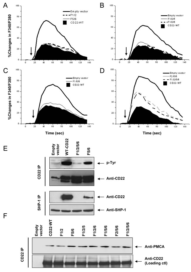 Roles of CD22&#x2019;s ITIM tyrosines in negative regulation of Ca