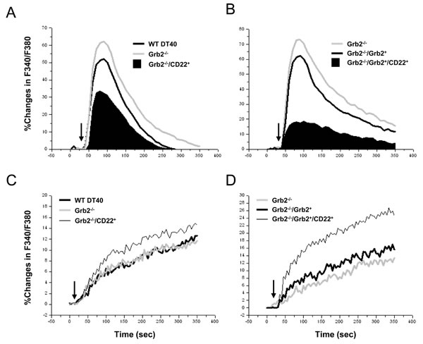 Roles of Grb2 in CD22&#x2019;s negative regulation of Ca