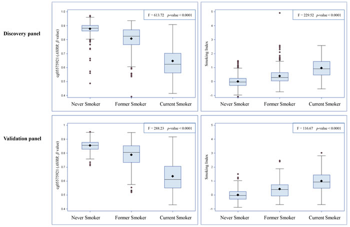 Distributions of cg05575921 and smoking index according to self-reported smoking status.