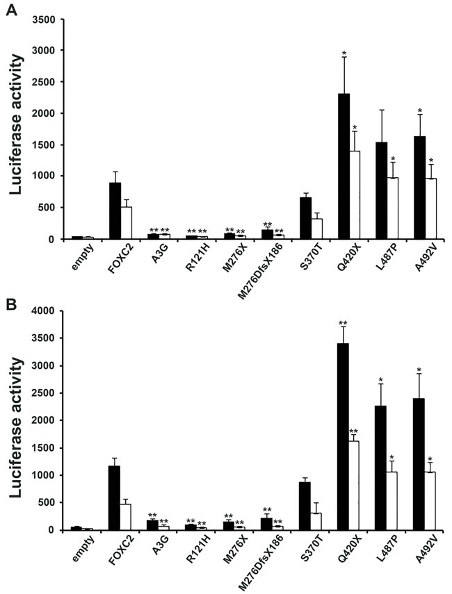 Transactivation activity of wt and mutant FOXC2 proteins.