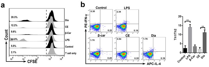 Dia-treated DCs promoted T cell proliferation and Th1 polarization.