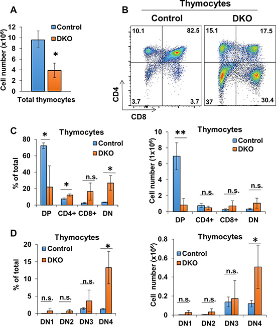 CD4-Cre induced CBL/CBL-B deletion leads to altered thymocyte development.