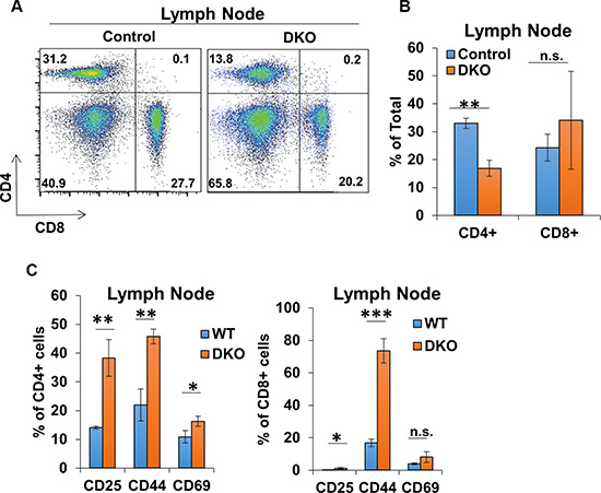 CD4-Cre induced CBL/CBL-B deletion leads to altered T-cell phenotype in lymph nodes.