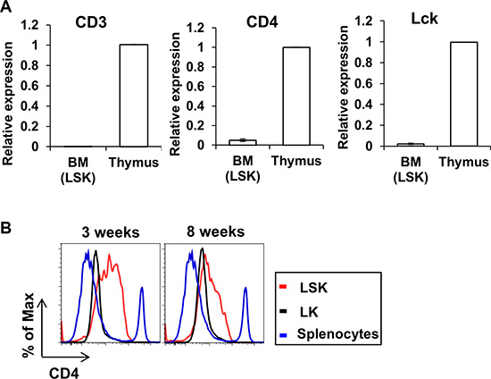 Expression of CD4 in HSC.