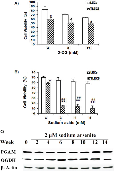 Effects of 2-DG and sodium azide on cell viability of LECs and TLECs.