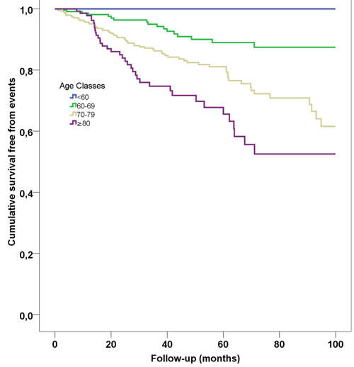 Kaplan-Meier survival curves according to age classes.