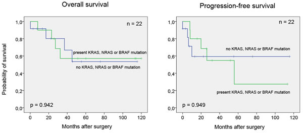 Kaplan-Meier survival curves