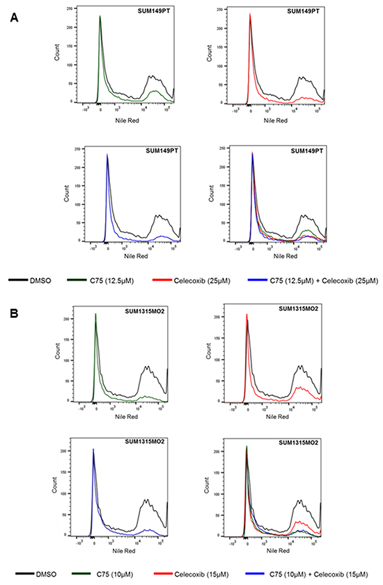 Combinatorial C75 and celecoxib treatment lowers lipid body count in breast cancer cells.