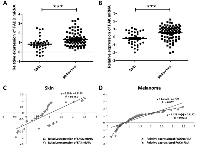 FADD and FAK overexpression was associated with human melanoma cancer progression.