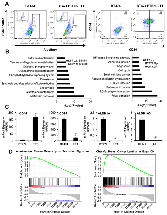 PTEN-deficient trastuzumab-resistant and parental BT474 breast cancer cells exhibit unique BCSC populations and distinct gene expression signatures.