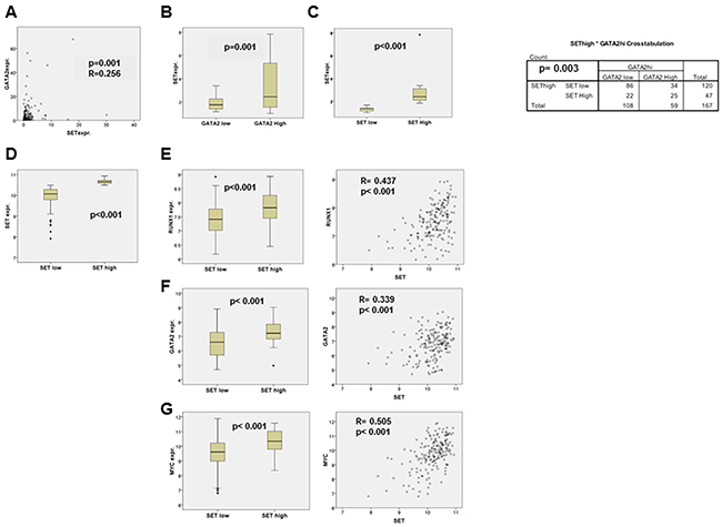 Correlation analysis of the SET and GATA2, RUNX1 and MYC expression in AML patients.