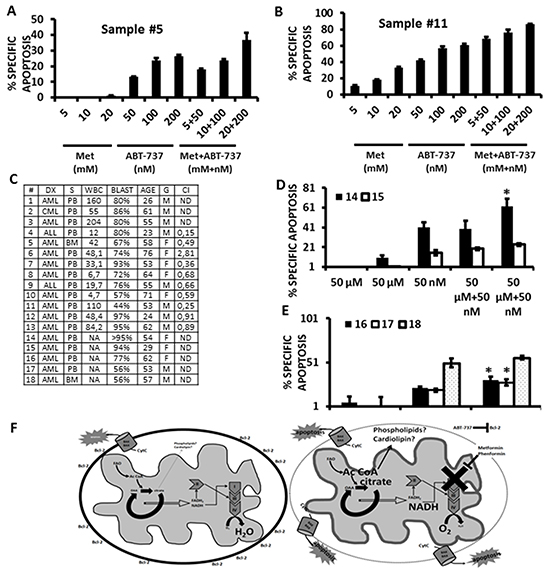 Metformin and Phenformin potentiate the cytotoxicity of ABT-737 in primary leukemia CD34 (+) cells.