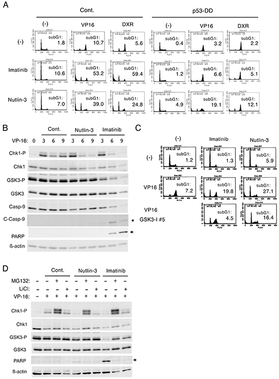 Nutlin-3 down regulates Chk1-mediated G2/M checkpoint activation induced by etoposide in BCR/ABL-expressing cells through different mechanisms from imatinib.