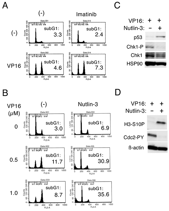 Nutlin-3 down regulates Chk1-mediated G2/M checkpoint activation to induce apoptosis synergistically with etoposide in cells transformed by the T315I mutant of BCR/ABL.