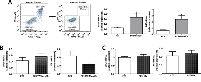 MenSCs-derived exosomes specifically decrease angiogenesis in prostate tumor cells.