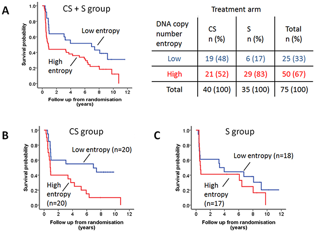 DNA copy number entropy and cancer specific survival.