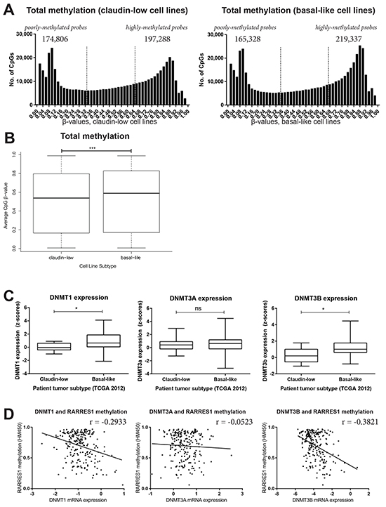 Basal-like breast cancer is more highly methylated than claudin-low breast cancer.