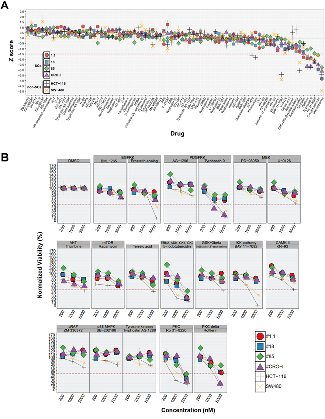 CRC-SC lines are resistant to drug-mediated inhibition of diverse signaling pathways.