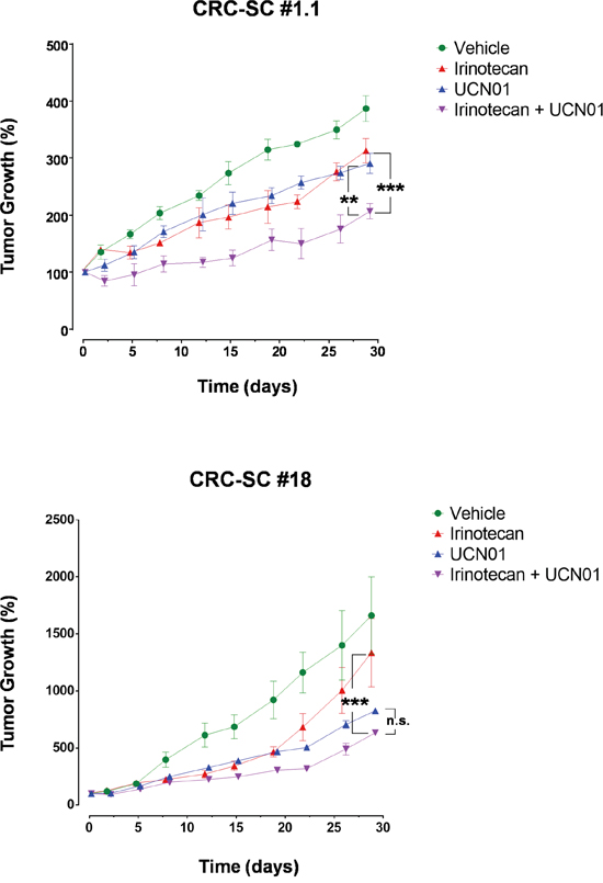 Treatment of CRC-SCs with UCN-01 enhances the effects of irinotecan in vivo.