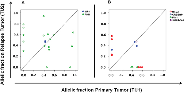 Dynamics of subclones marked by PIM1 and BCL2 mutations during disease progression.